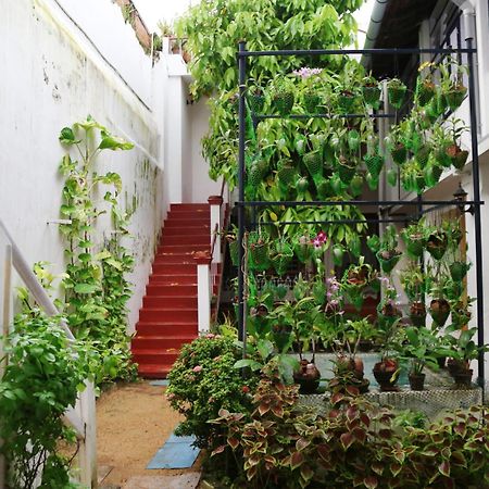 Walton'S Homestay, Fort Cochin Fort Kochi Esterno foto